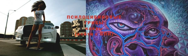 прущая мука Елизово