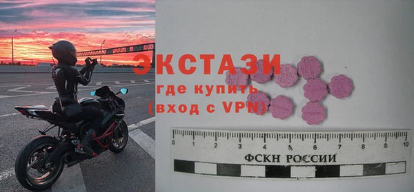 ECSTASY Ельня