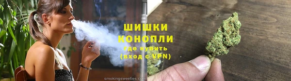 ECSTASY Ельня