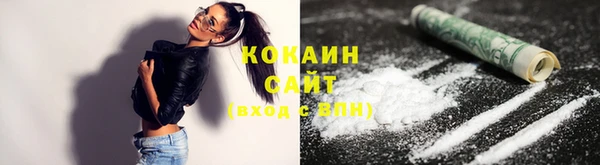 ECSTASY Ельня