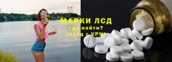 ECSTASY Ельня