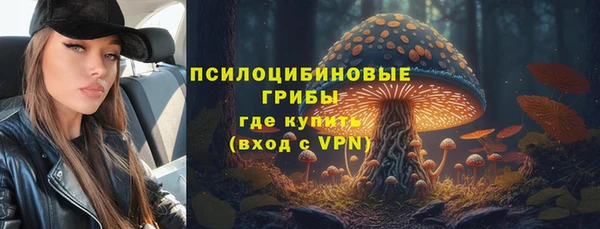прущая мука Елизово