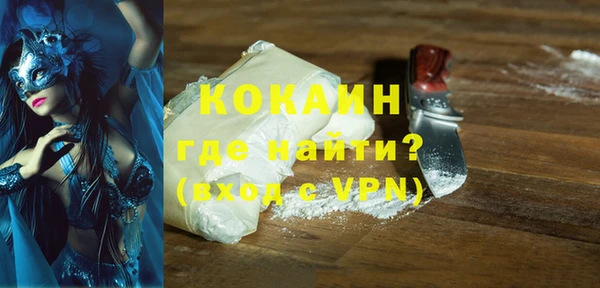 ECSTASY Ельня