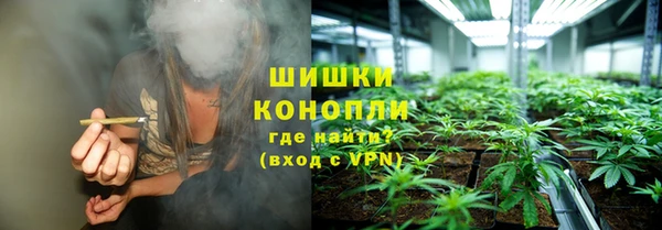 ECSTASY Ельня