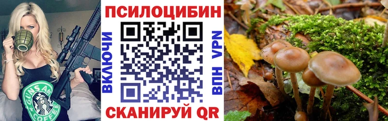 Псилоцибиновые грибы прущие грибы  Купить где  Донецк 